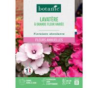 BOTANIC®-Graines de lavatère à grande fleur variée botanic - graines à semer