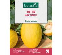 BOTANIC®-Graines de melon jaune canari botanic - graines à semer