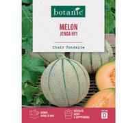 BOTANIC®-Graines de melon jenga hybride f1 botanic - graines jenga semer