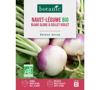BOTANIC®-Graines de navet blanc globe à collet violet bio botanic - graines à semer