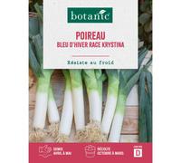 BOTANIC®-Graines de poireau bleu d'hiver race Krystina botanic - graines à semer