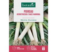 BOTANIC®-Graines de poireau herbstriesen 2 race hannibal botanic - graines herbstriesen semer