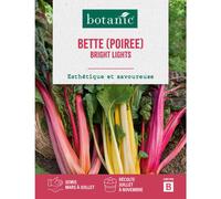 BOTANIC®-Graines de poirée bright light insolite botanic - graines à semer