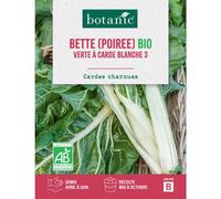 BOTANIC®-Graines de poirée verte à carde blanche 3 bio botanic - graines à semer