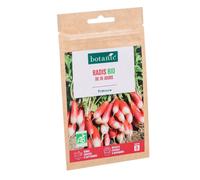 BOTANIC®-Graines de radis de 18 jours bio botanic - graines à semer