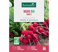 BOTANIC®-Graines de radis saxa 2 bio botanic - graines saxa semer