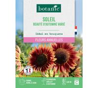 BOTANIC®-Graines de soleil beauté d'automne varié botanic - graines à semer