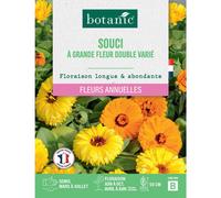 BOTANIC®-Graines de souci à grande fleur double varié botanic - graines à semer
