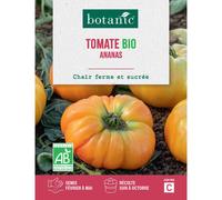 BOTANIC®-Graines de Tomate bio Ananas botanic - graines à semer