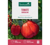 BOTANIC®-Graines de tomate borsalina type cœur de bœuf HF1 botanic - graines à semer