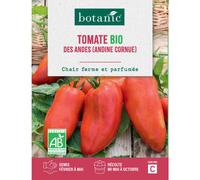 BOTANIC®-Graines de tomate des andes bio botanic - graines des semer