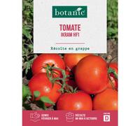 BOTANIC®-Graines de tomate ikram F1 botanic - graines à semer