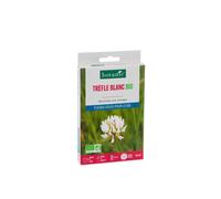 BOTANIC®-Graines de Trèfle blanc bio botanic - graines à semer (10 m²)