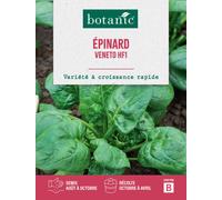 BOTANIC®-Graines d'épinard veneto HF1 botanic - graines à semer