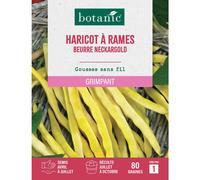 BOTANIC®-Graines d'haricot à rames beurre neckargold botanic - graines à semer