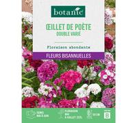 BOTANIC®-Graines d'œillet de poète double varié botanic - graines à semer