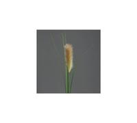 BOTANIC®-Herbe de la pampa artificielle H97 cm