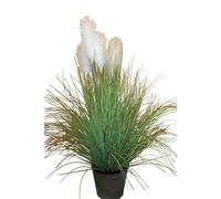 BOTANIC®-Herbe de Pampa pot zinc 170 cm