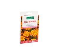 BOTANIC®-Œillet du potager botanic - graines à semer (3 m²)