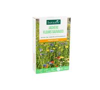 BOTANIC®-Jachère de graines fleurs sauvages botanic - graines à semer (100 m²)