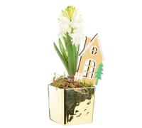 BOTANIC®-Jacinthe en cache-pot doré - diamètre 8 cm