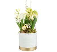BOTANIC®-Jacinthe x 3 pot blanc et or - diamètre 12 cm