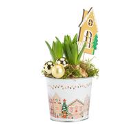 BOTANIC®-Jacinthe x 3 pot zinc décor village - diamètre 11 cm