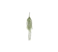 BOTANIC®-Lichen Herbe à suspendre vert plante artificielle H 93 x diamètre 18 cm