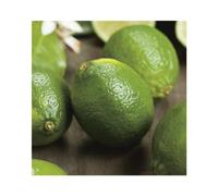 BOTANIC®-Lime De Tahiti Bio. Le pot de 6 litres