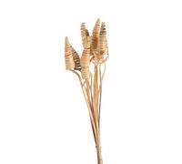 BOTANIC®-Lot de 10 cônes de canne naturel artificielles coloris beige - 45 à 55 cm