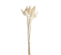BOTANIC®-Lot de 10 cônes de canne naturel artificielles coloris beige - 45 à 55 cm