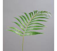 BOTANIC®-Mascarena palmier artificiel feuille verte - 81 cm