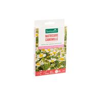 BOTANIC®-Matricaire camomille botanic - graines à semer (3 m²)