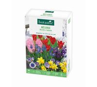 BOTANIC®-Mélange balcon et terrasse botanic - 40 bulbes