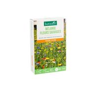 BOTANIC®-Mélange de fleurs sauvages botanic - graines à semer (10 m²)