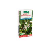 BOTANIC®-Mélange de graines couvre-sol pour potager bio botanic - graines à semer (100 m²)