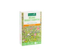 BOTANIC®-Mélange de graines pour bouquet champêtre botanic - graines à semer (10 m²)