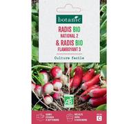 BOTANIC®-Mélange de graines radis national bio et de radis flamboyant bio botanic - graines à semer
