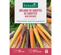 BOTANIC®-Mélange de graines variétés de carottes botanic - graines à semer