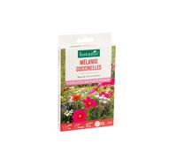 BOTANIC®-Mélange fleuri pour coccinelles botanic - graines à semer (5 m²)