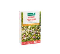 BOTANIC®-Mélange mellifère pied d'arbre botanic - graines à semer (10 m²)
