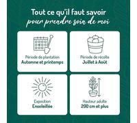 BOTANIC®-Murier Dirksen Bio. Le pot de 2 litres