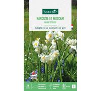 BOTANIC®-Muscari et narcisse pluriflore en mélange - 24 bulbes
