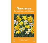 BOTANIC®-Narcisse jonquille en mélange botanic - 8 bulbes