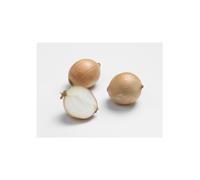 BOTANIC®-Oignon Sturon AB bio calibre 10/21 botanic bulbes à planter - Le filet de 250 g