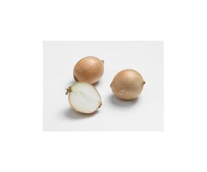 BOTANIC®-Oignon Sturon AB bio calibre 10/21 botanic bulbes à planter - Le filet de 250 g
