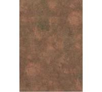 BOTANIC®-Papier rouleau Crèche brun 70x2 m