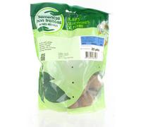 BOTANIC®-Pommes de terre Bintje calibre 28/35 - 25 plants