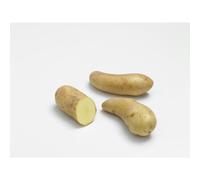 BOTANIC®-Pommes de terre Ratte calibre 25/32 - 1,5 kg