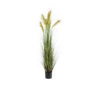 BOTANIC®-Pot de graminée épis coloris vert - 145 x 32 x 15 cm